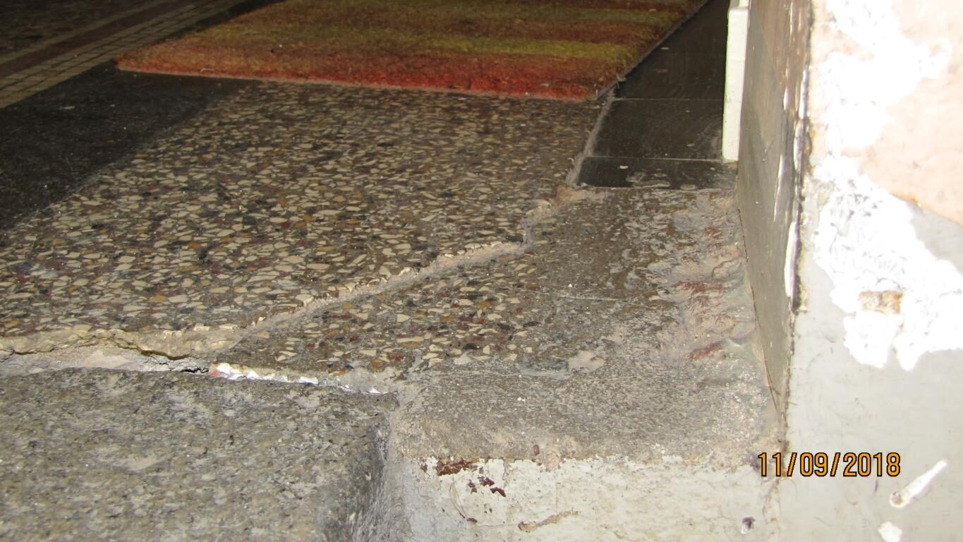 Hauseingang in Fürth: Terrazzo mit Mosaikbordüre