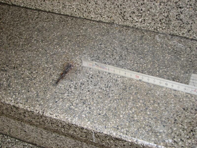 Terrazzotreppe: Ausbrüche geschlossen, Stufen neu geschliffen