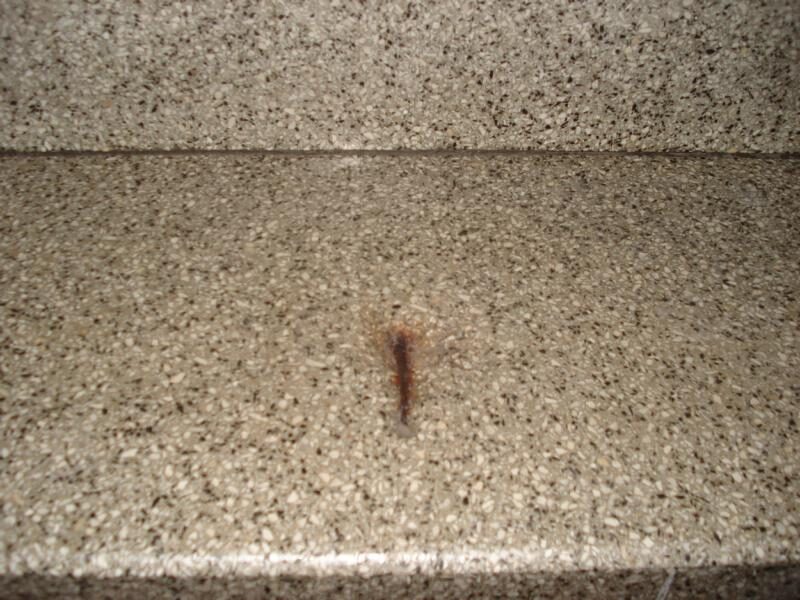 Terrazzotreppe: Ausbrüche geschlossen, Stufen neu geschliffen