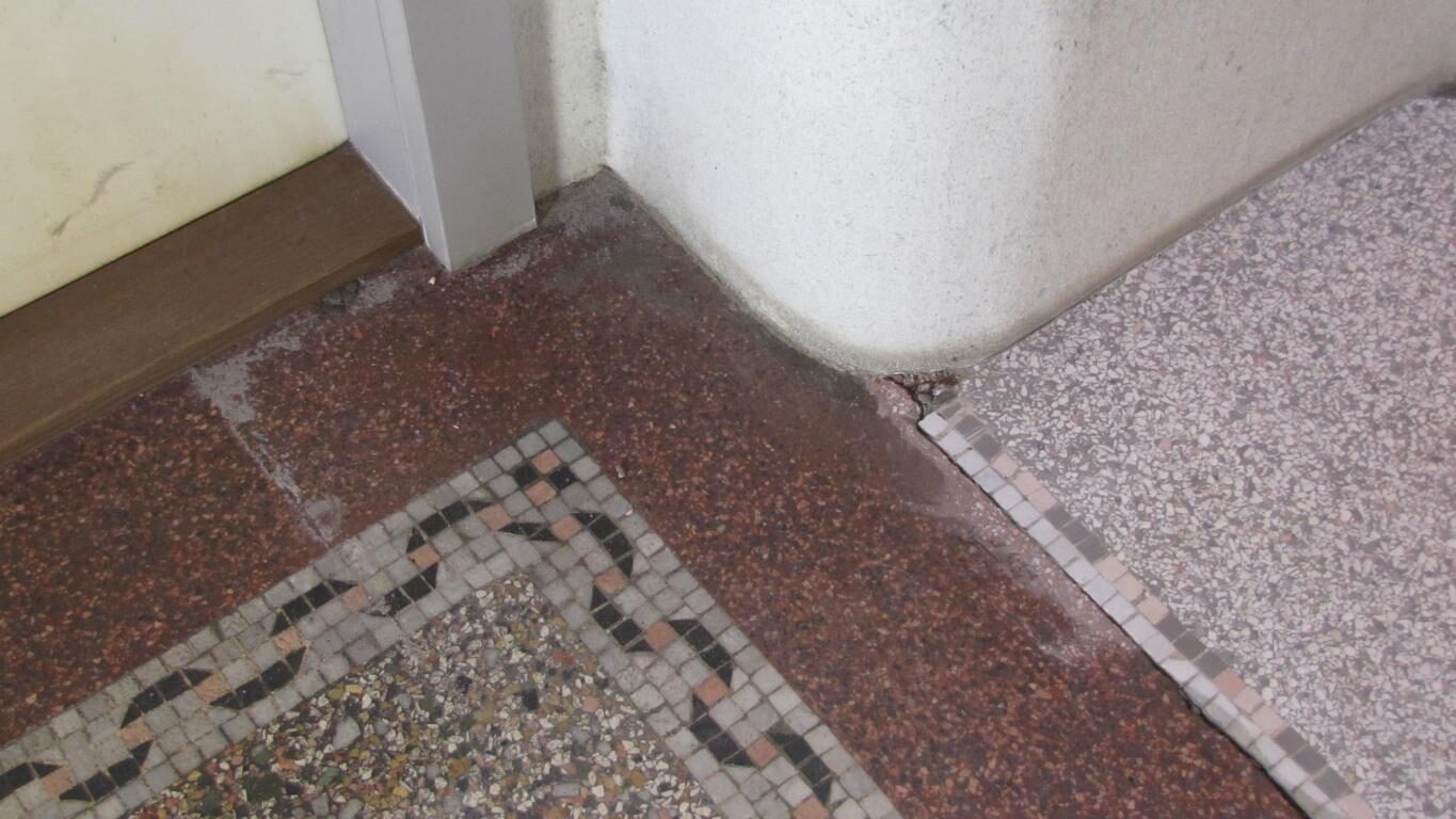Terrazzoboden im Erdgeschoss freigelegt und geschliffen
