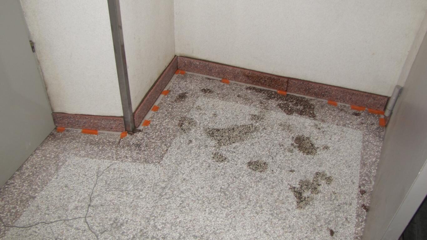 Terrazzoboden im Erdgeschoss freigelegt und geschliffen