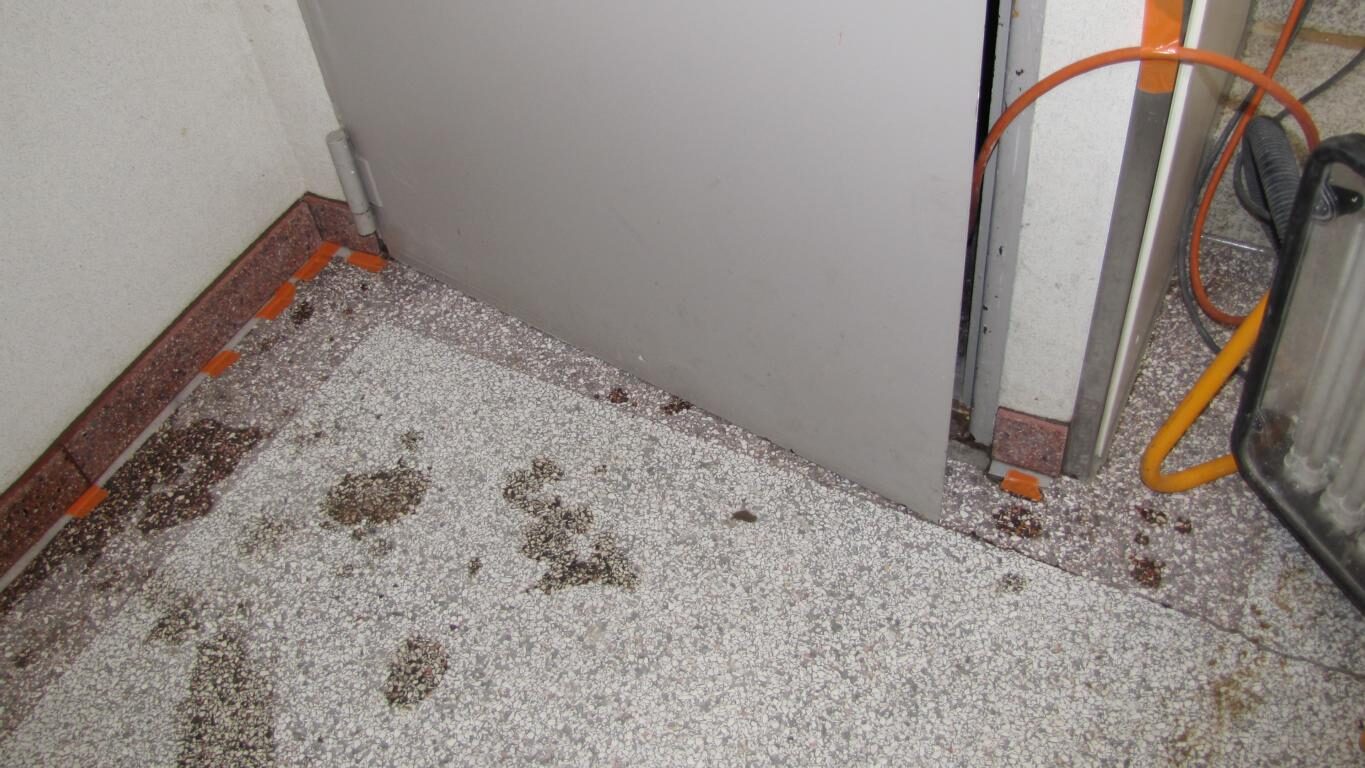 Terrazzoboden im Erdgeschoss freigelegt und geschliffen