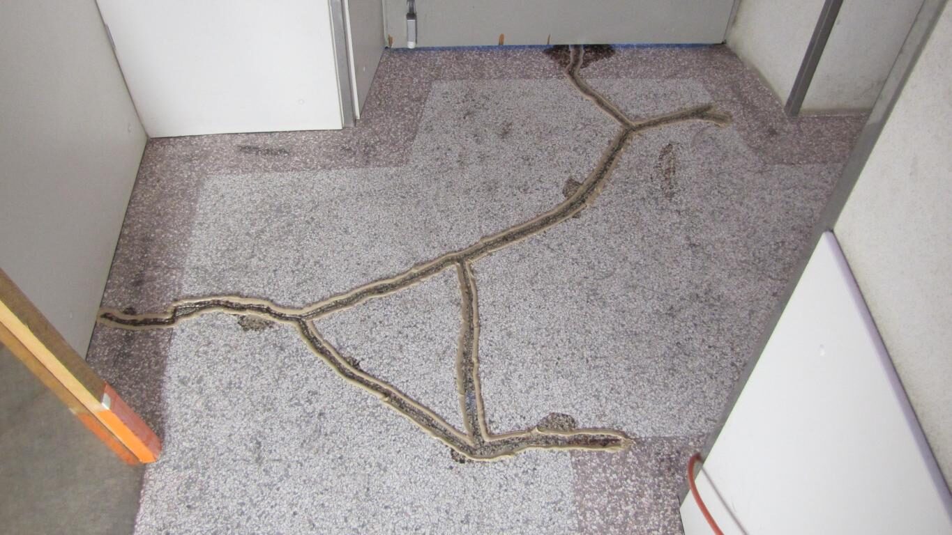 Terrazzoboden im Erdgeschoss freigelegt und geschliffen